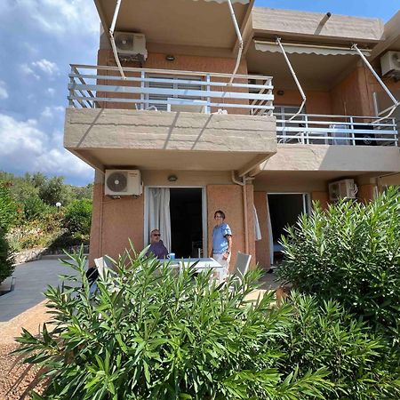 Galini Studios And Apartments Lassi (Kefalonia) Exterior foto