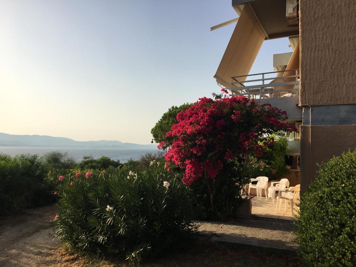 Galini Studios And Apartments Lassi (Kefalonia) Exterior foto