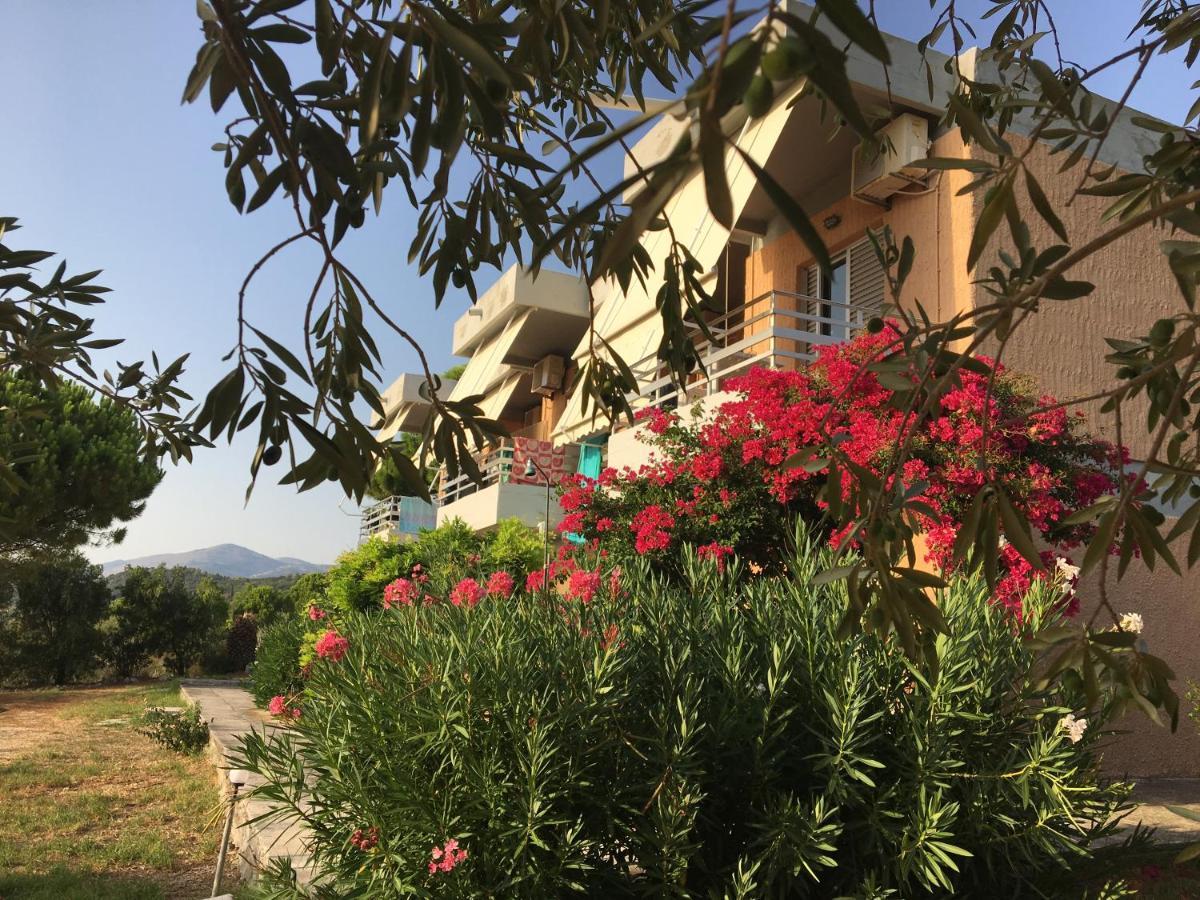 Galini Studios And Apartments Lassi (Kefalonia) Exterior foto
