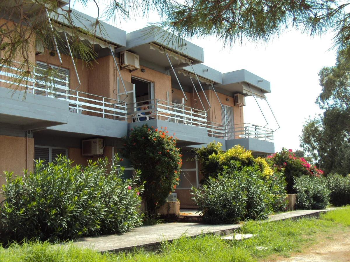 Galini Studios And Apartments Lassi (Kefalonia) Exterior foto