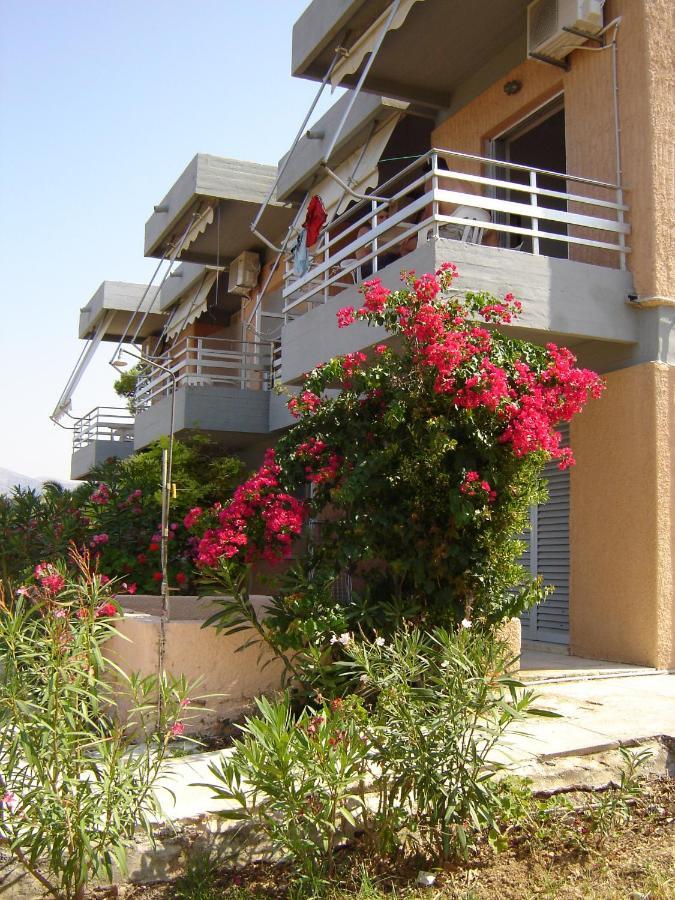 Galini Studios And Apartments Lassi (Kefalonia) Exterior foto