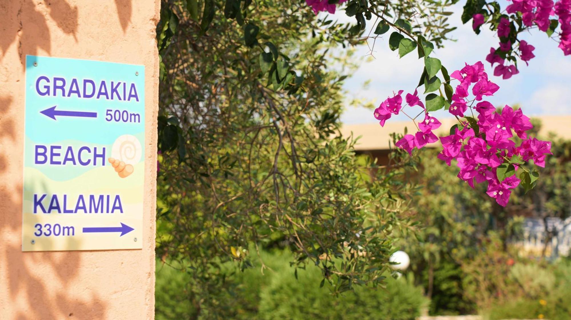 Galini Studios And Apartments Lassi (Kefalonia) Exterior foto
